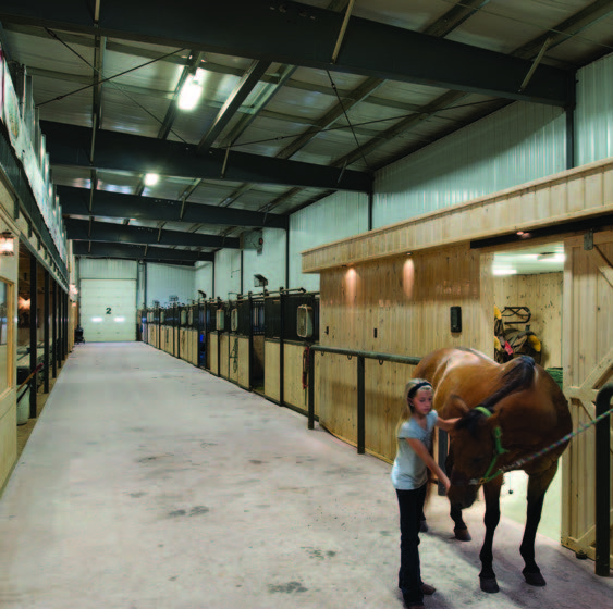 Horse Stable