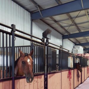 A Metallic Facility With Horses in a Barn
